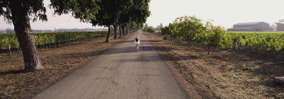 Elevate Your Home with Artistry